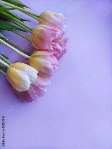 Fototapeta Naklejka Na Ścianę i Meble -  bouquet of pink tulips.Mother's Day.Women's Day.Background.