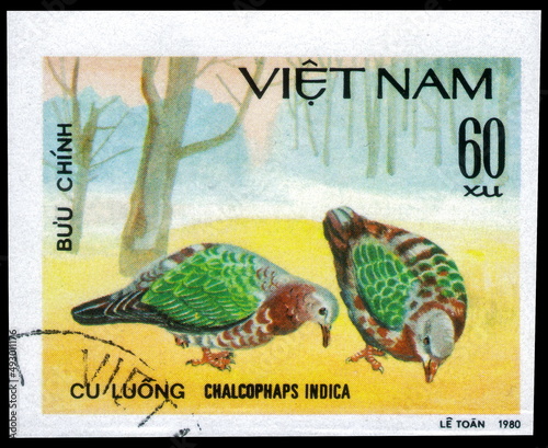 Postage stamp issued in the Vietnam with the image of the Common Emerald Dove, Chalcophaps indica. From the series on Doves, circa 1981