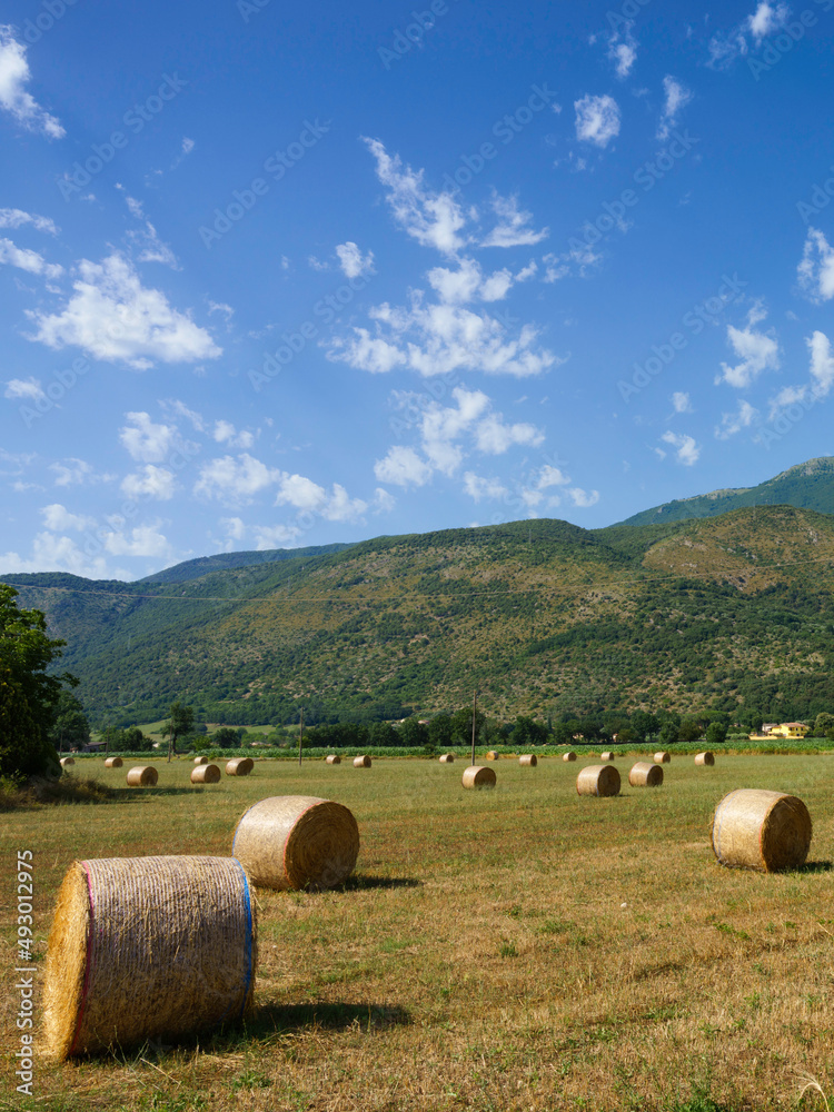 Summer landscape in Frosinone province near Cassino, Lazio, Italy