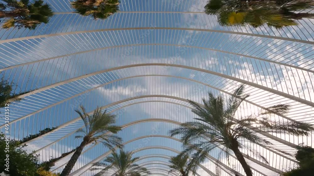 Reveal shot tourist woman exploring L'Umbracle palm garden, Valencia city on a sunny day