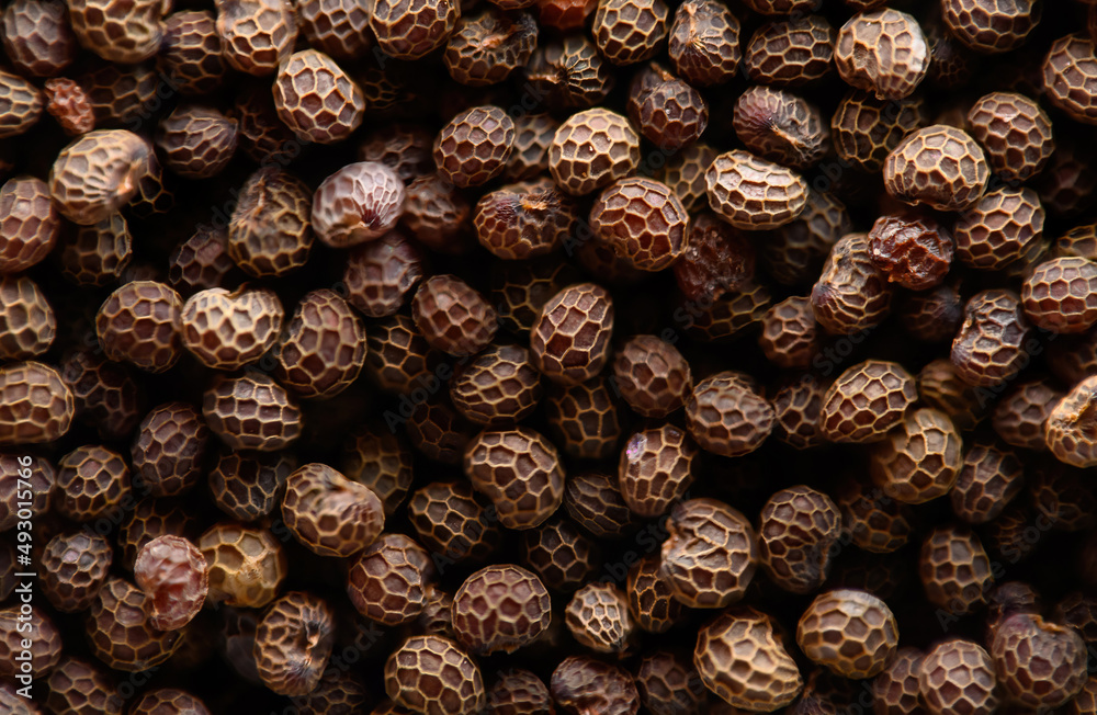 Poppy seeds, super macro, texture, topview, organic space, focus stacking Poppy seeds, super macro, texture, topview, organic space, focus stacking