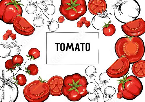 Tomato banner background in hand drawn vintage style, vector illustration.