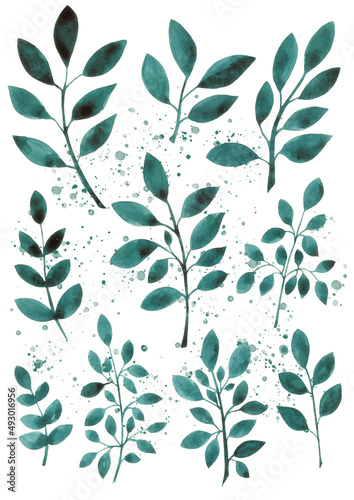 Watercolor set of green plant branches