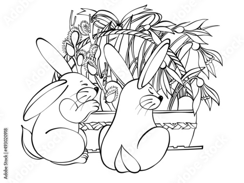 Easter Rabbits with willow and eggs Hand drawing line art	