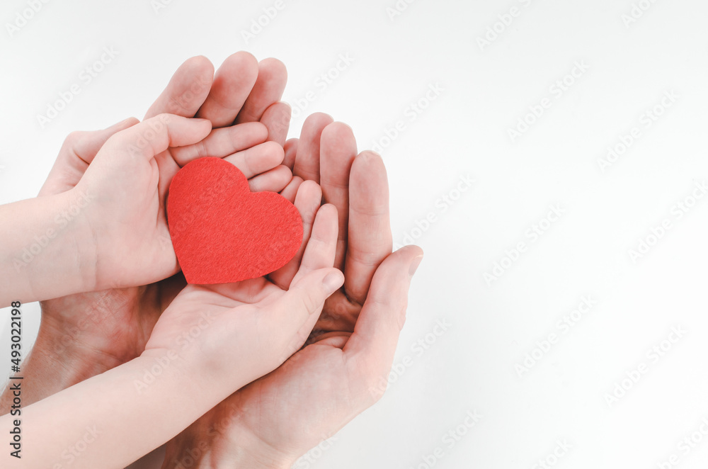 Hands of father and son holding red heart on white background, heart health insurance, family day, world heart day