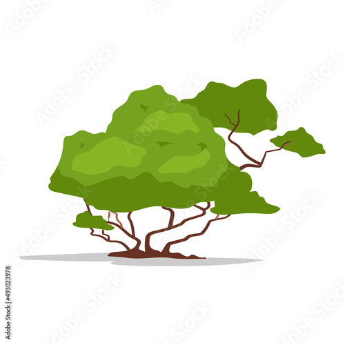 Green bush for garden decor semi flat color vector object. Full sized item on white. Park and forest. Element of nature preserve simple cartoon style illustration for web graphic design and animation