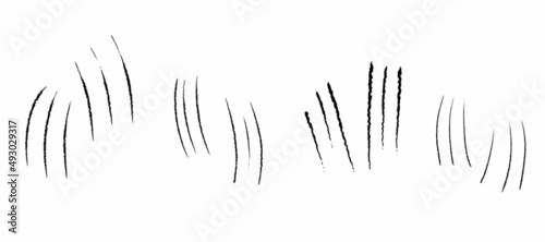 Claw scratches . Black animals claw collection. Animals claw scratches set. Grunge scratches claws. Wild animals concept. Vector illustration on white background.