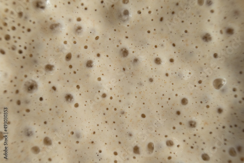Active and bubbly sourdough starter photo