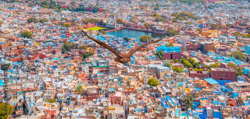 Red tailed hawk flyin over Mehrangarh Fort with Blue City - Jodhpur , India 
