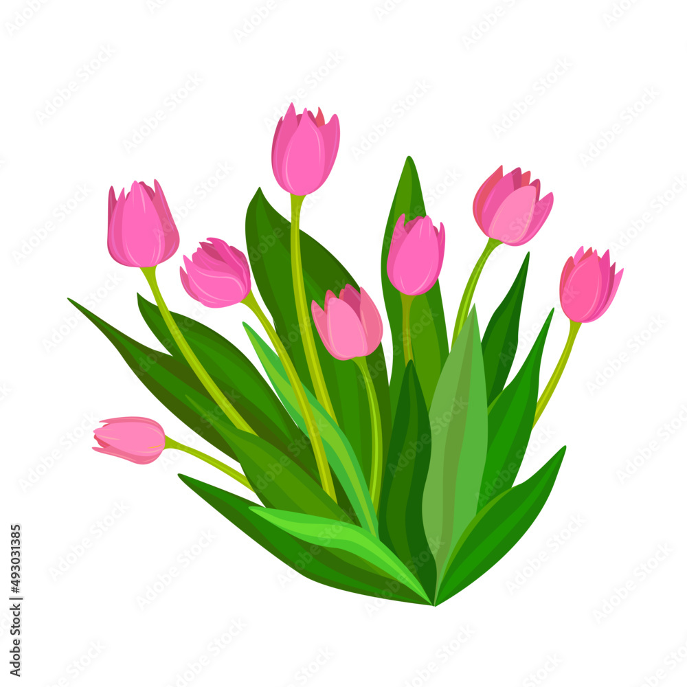 Bouquet of pink tulips Bouquet of pink tulips