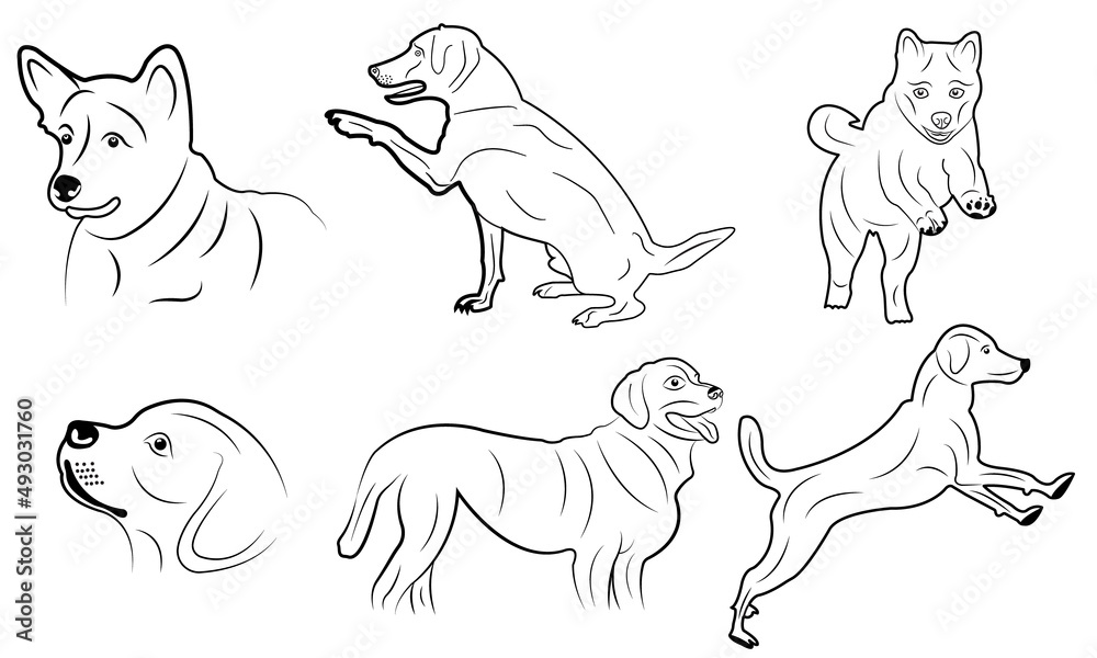 Dog outline icon. Pet vector illustration. Canine symbol isolated.