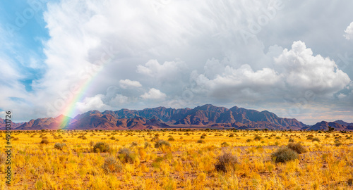 Beautiful grassland landscape with Brandberg mountain amazing rainbow in the background - Namibia, Africa