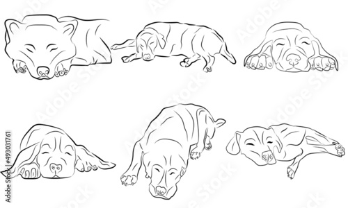 Dog outline icon. Pet vector illustration. Canine symbol isolated.