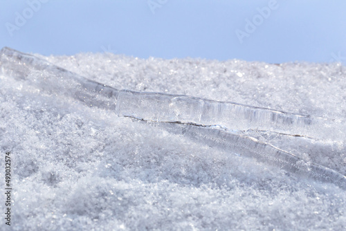 Icicles in the snow