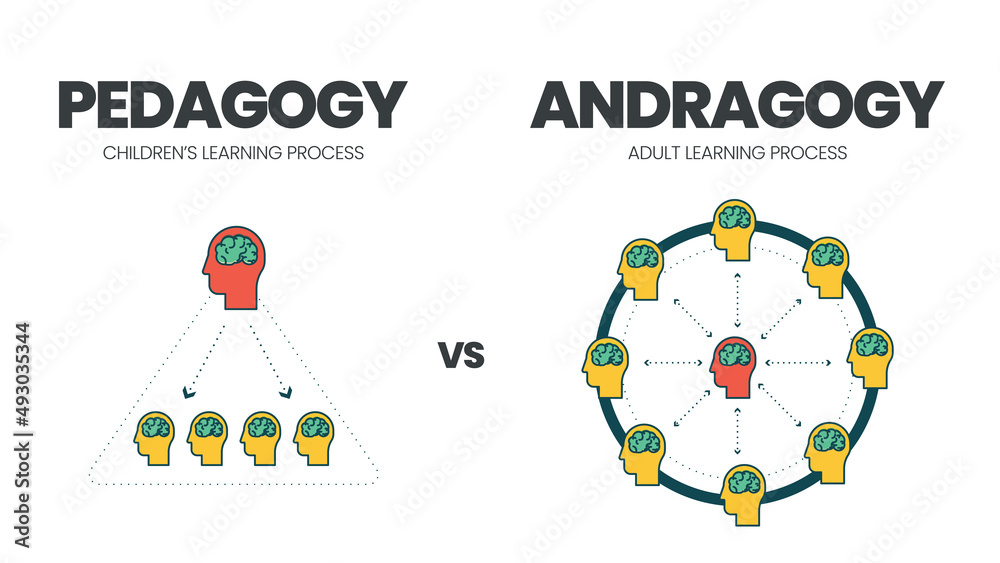 The vector illustration of comparison between pedagogy or child learning and andragogy or adult education. The infographic is different than teachers in adult learning are facilitators, not teaching  - obrazy, fototapety, plakaty 