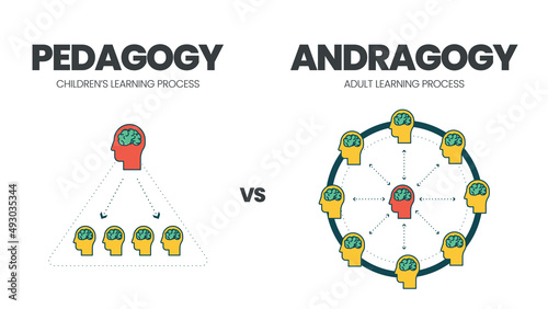 The vector illustration of comparison between pedagogy or child learning and andragogy or adult education. The infographic is different than teachers in adult learning are facilitators, not teaching  photo