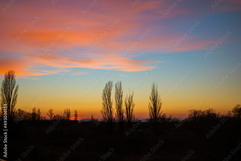 Colorful dramatic vibrant sunset, silhouettes of bare trees on horizon. A low sun is setting, twilight, evening is coming. A red-blue-yellow cloudy sky. Orange cloudy skies background with sun rays.