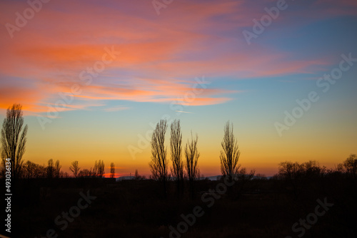 Colorful dramatic vibrant sunset, silhouettes of bare trees on horizon. A low sun is setting, twilight, evening is coming. A red-blue-yellow cloudy sky. Orange cloudy skies background with sun rays.