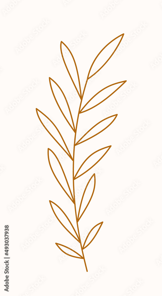 Botanical branch with leaves. Line art, vector illustration. Botanical branch with leaves. Line art, vector illustration.