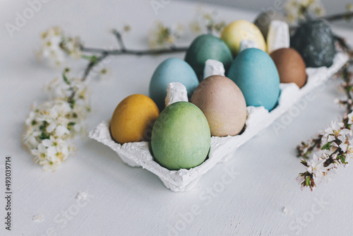 Stylish Easter eggs and cherry blossoms on rustic white wooden background. Happy Easter! Natural dyed colorful pastel eggs in tray and spring flowers on rustic table. Countryside still life