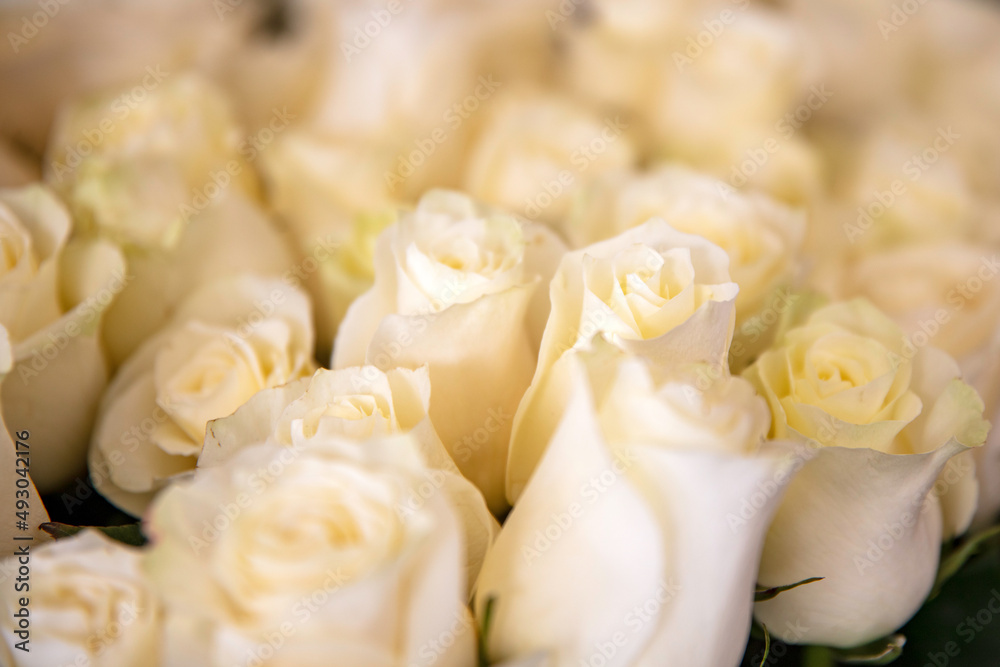 Obraz na płótnie Białe róże na targu kwiatowym w salonie