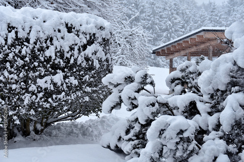 Schneefall und viel Neuschnee