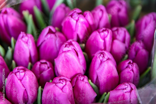 Świeże tulipany na targu kwiatowym © hunter76