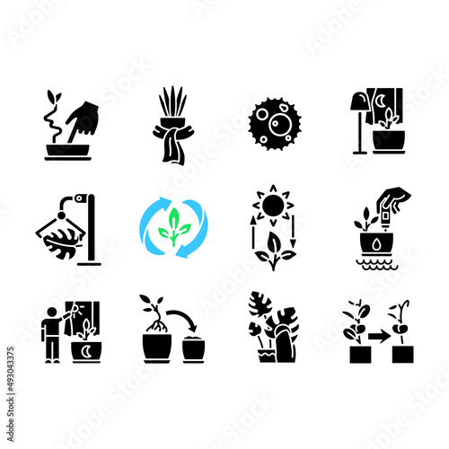 Caring for houseplants black glyph icons set on white space. Potted plants growing. Correct watering and light. Silhouette symbols. Solid pictogram pack. Vector isolated illustration