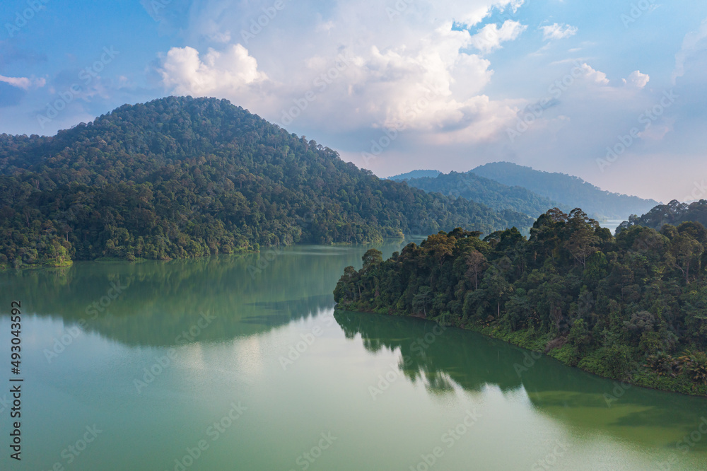 Aerial view of lush tropical rain forest trees. Dense vegetation, habitat for wild animals and birds. Top view of Lake Semenyih,  artificial lake, water reservoir for Kuala Lumpur. Rainforest lake bay