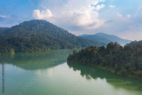 Aerial view of lush tropical rain forest trees. Dense vegetation  habitat for wild animals and birds. Top view of Lake Semenyih   artificial lake  water reservoir for Kuala Lumpur. Rainforest lake bay