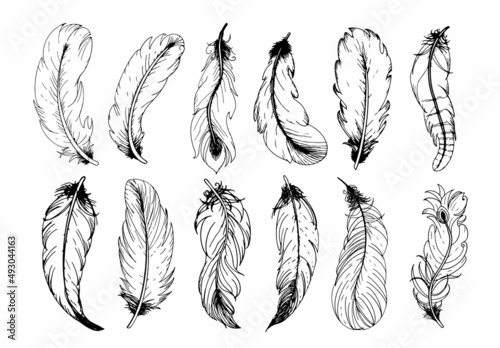 Hand drawn vintage feathers set. Vector illustration.