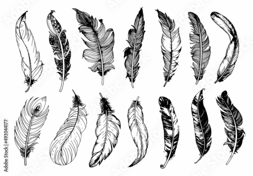 Hand drawn vintage feathers set. Vector illustration.