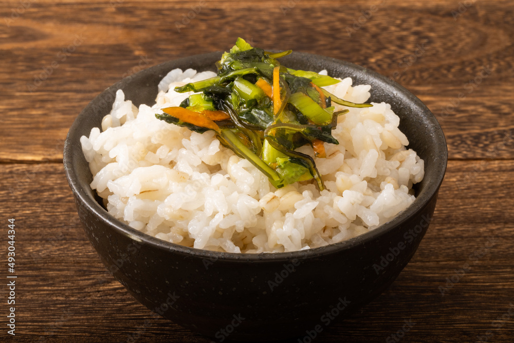 野沢菜昆布 ご飯 野沢菜昆布 ご飯