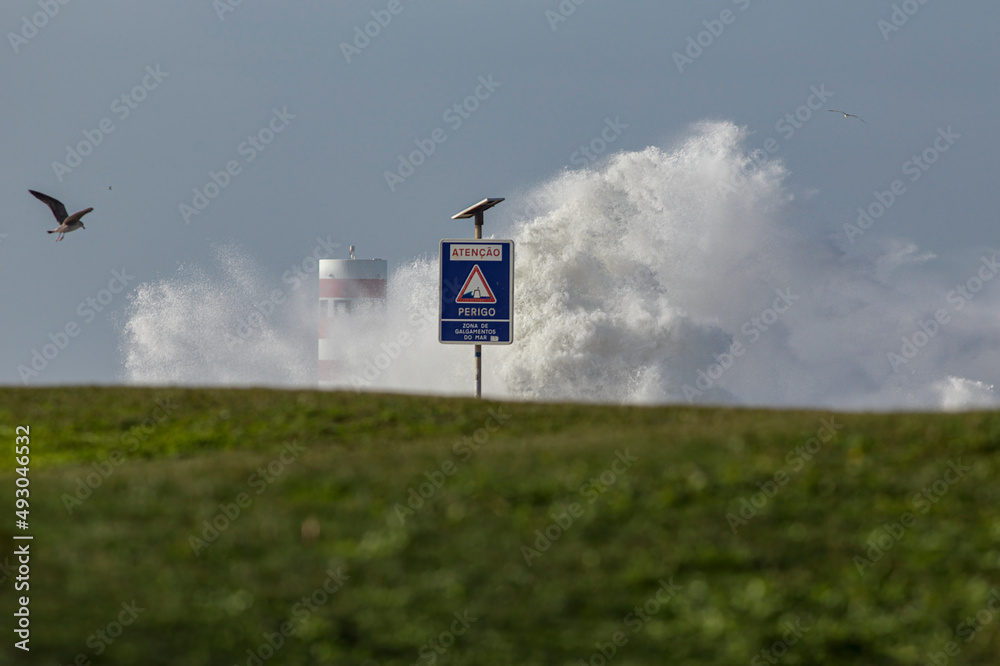Fototapeta premium Stormy sea coast