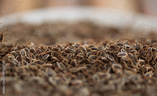 Dry organic dill seeds. Healthy lifestyle. On a blurred background. Preparation fragrant greens for the winter.
