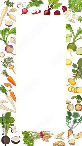 Vertical rectangular banner with carrot, Beetroot, Celery, Parsley, Daikon, Parsnip, Rutabaga, Turnip, Yellow turnip, Arracacha, Maca, and Red, Black, Chinese radish. Template. Vector illustration photo