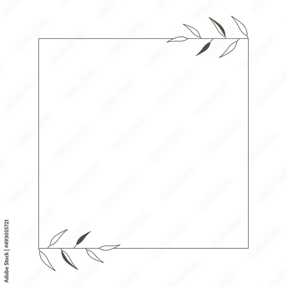 Fototapeta premium leaves isolated on white