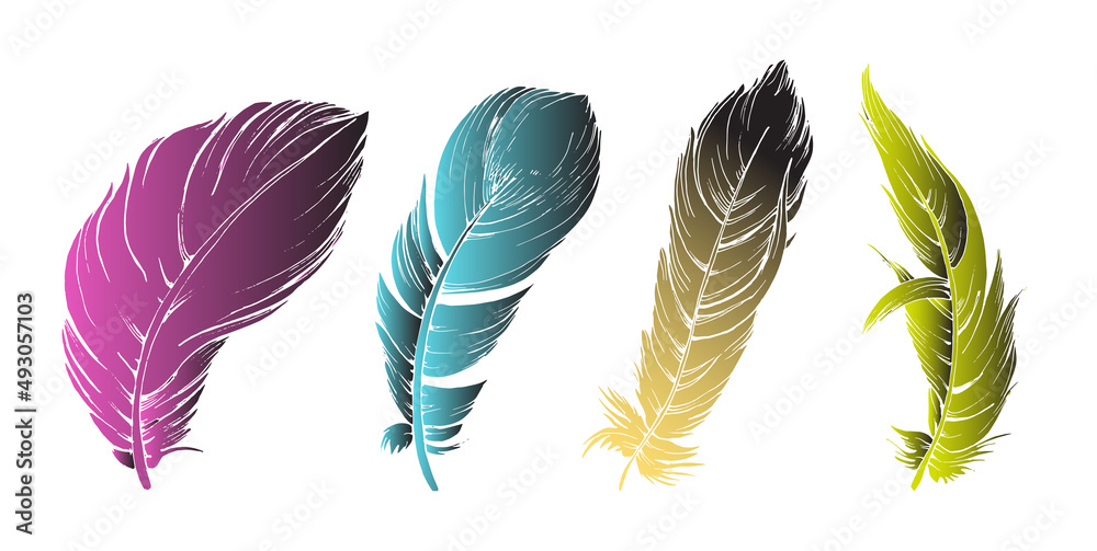 Obraz set of colored gradient bird feathers set of bird feathers, isolated vector drawing,colored gradient