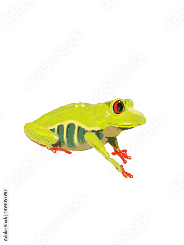 Grüner Frosch mit roten Augen