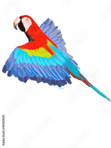 Bunter, fliegender Papagei