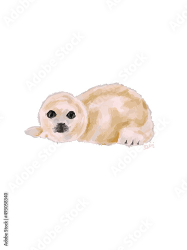 Liegende Baby Robbe