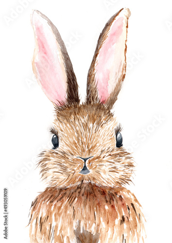 Watercolor illustration of a brown hare with black eyes and pink ears on a white background
