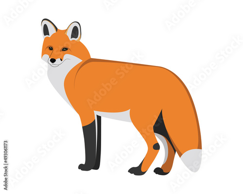 A fox. Cartoon image of a fox