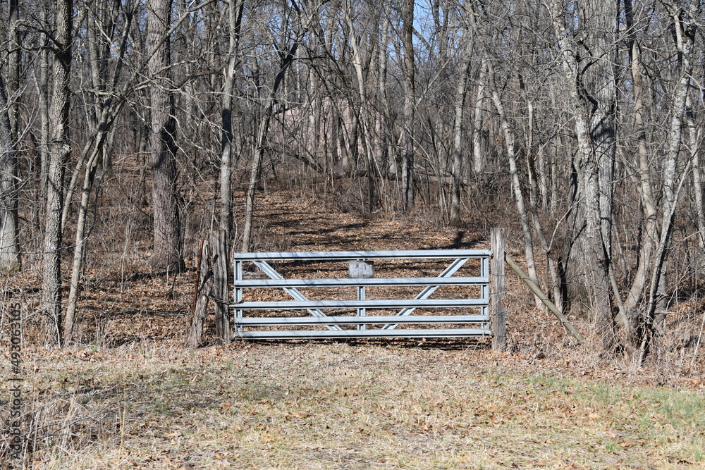 Gate in a Field with Trees