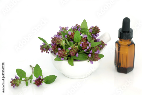 Self heal herb herbal plant medicine with essential oil bottle. Treats diarrhea, colic, upset stomach, crohns disease, gastroenteritis, herpes and osteoarthritis. Anti inflammatory and painkiller. photo