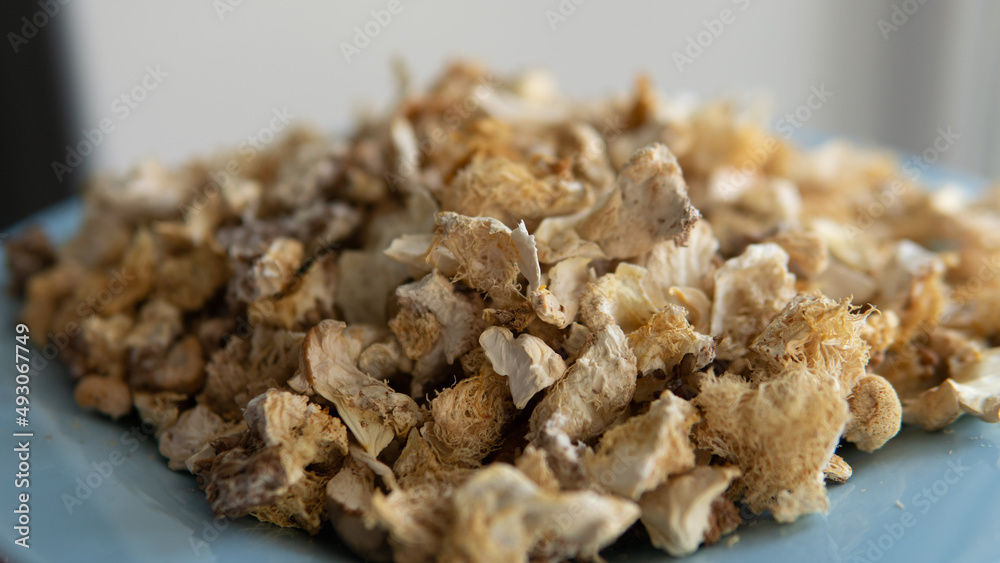 Useful substances in the composition of the fruiting bodies of the fungus lion's mane. Erinacins and Hericenones