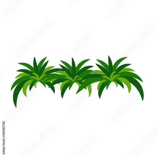 Houseplant chlorophytum for interior decoration. Vector illustration of home flowers. Trendy home decor with plants, urban jungle.
