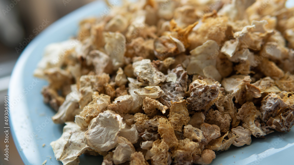 dried fruiting bodies of Hericium erinaceus mushroom close-up dried fruiting bodies of Hericium erinaceus mushroom close-up