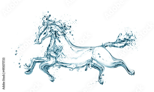 water splash horse isolated on white background