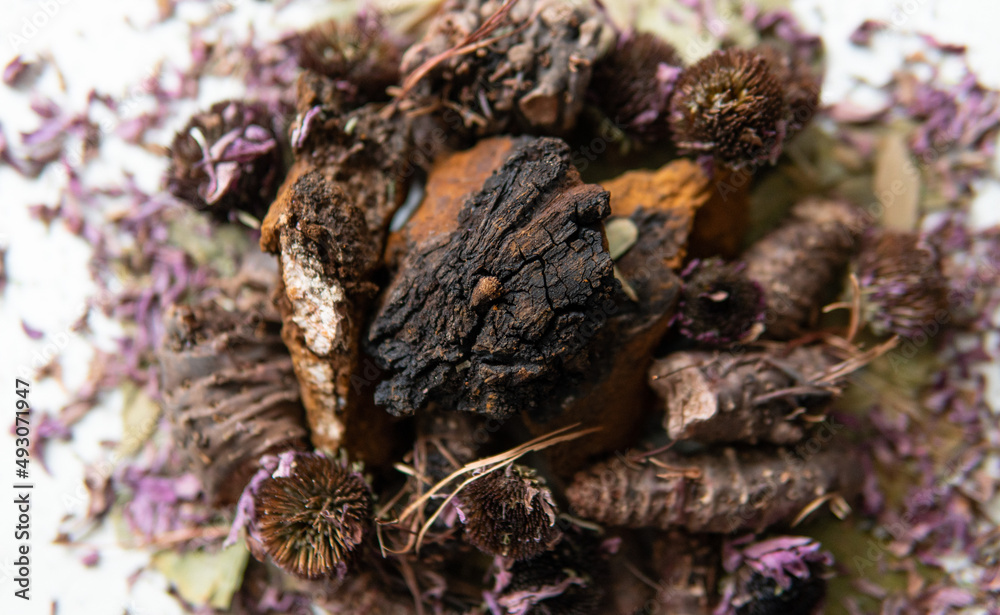 Useful mushroom supplements for a healthy life. Betulin - the active ingredient of Inonotus obliquus Useful mushroom supplements for a healthy life. Betulin - the active ingredient of Inonotus obliquus